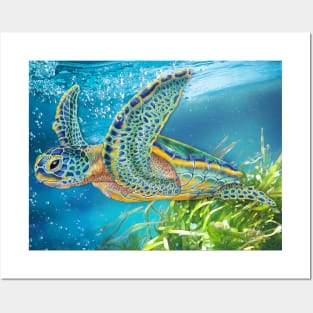 Sea Turtle Posters and Art